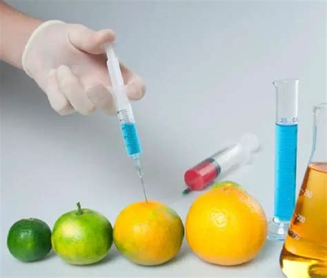 5 Benefits of Food Biotechnology That You Must Know