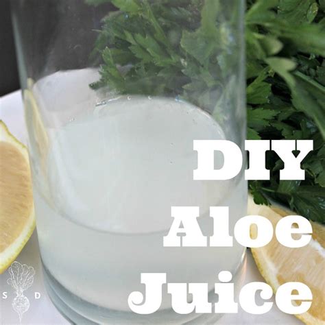 Aloe Vera Juice Recipe - The Seasonal Diet