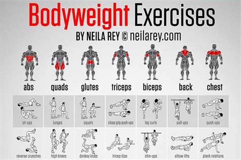 Infographic: Body Weight Exercises | Body weight workout men ...