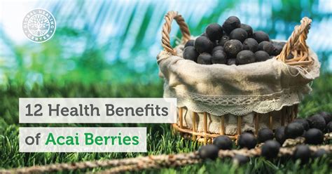 12 Health Benefits of Acai Berries | Acai benefits, Health and wellness ...