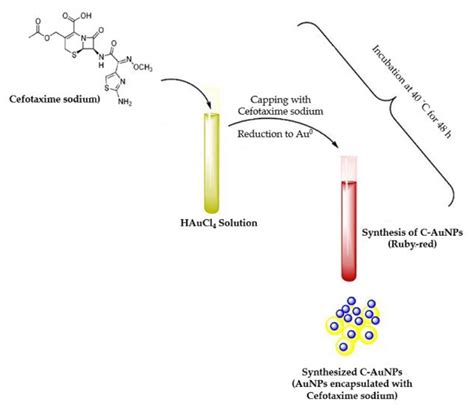 Polymers | Free Full-Text | Cefotaxime Mediated Synthesis of Gold Nanoparticles ...