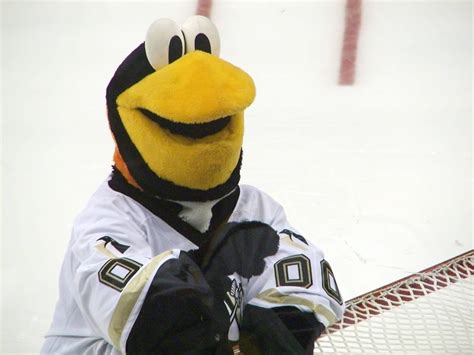 The Pittsburgh Penguins Mascots: From Pete to Iceburgh