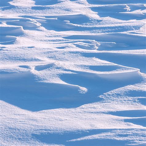 Snow Drifts – Prairie Garden Trust