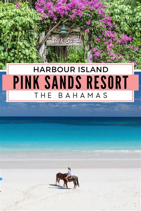 Pink sands resort – Artofit