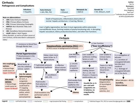 Cirrhosis (calgaryguide.ucalgary.ca). Nursing School Studying, Nursing ...