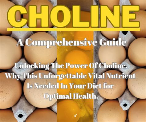 CHOLINE UNLOCKED: Health Benefits Of Choline. - FOOD & TRAVEL EXPLORA