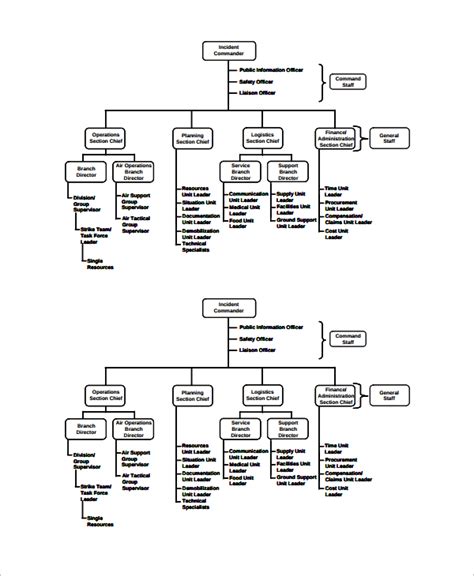 Ics Org Chart Template