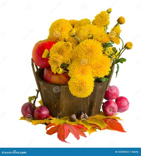 Bouquet Of Yellow Mums With Apples Stock Photography - Image: 32290522