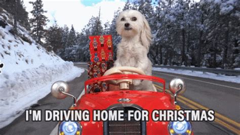 Driving Home For Christmas Merry Christmas GIF - DrivingHomeForChristmas MerryChristmas ...