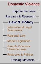 SVAW - Domestic Violence: Law and Policy