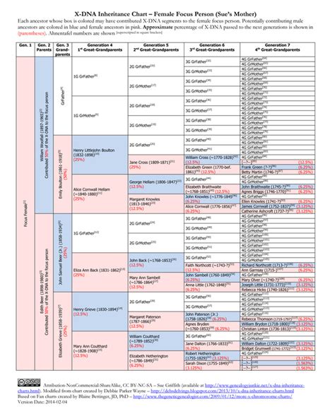 Inheritance: X Chromosome Inheritance