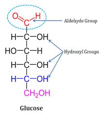 What Type of Isomers Are Glucose and Fructose