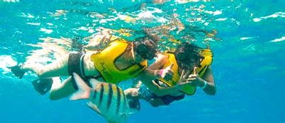 My Cancun Tours | Snorkeling tour in Cozumel from Cancun