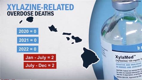 An Alarming Trend: Horse Tranquilizer Causes Multiple Deaths in Hawaii ...