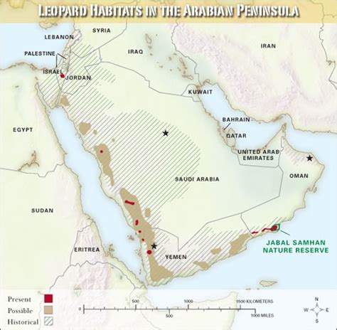 Arabian Leopard Habitat