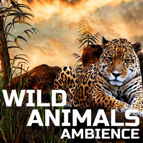 Wild Animals Concert & Tour History | Concert Archives