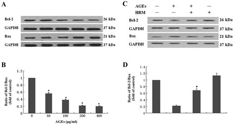 Hydrogen-rich medium suppresses the generation of reactive oxygen species, elevates the Bcl-2 ...