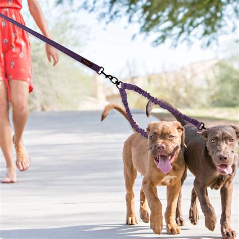 8 Best Double Dog Leash Coupler - Enjoy walking your two dogs together ...