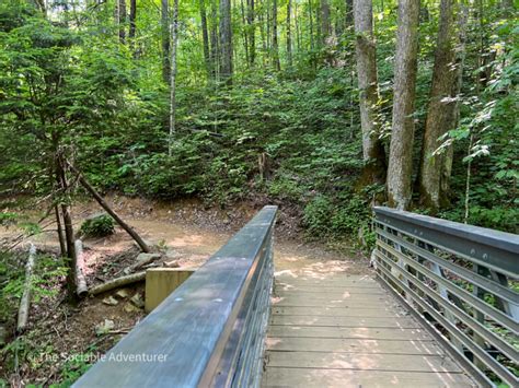 Grandfather Mountain State Park - The Sociable Adventurer