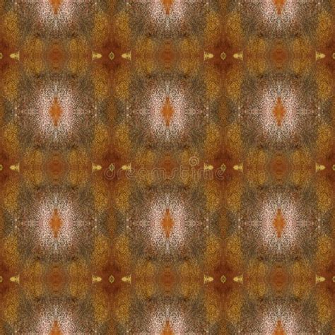 Pattern Texture of Atlas Silk Butterfly Wing for Background Stock Photo ...