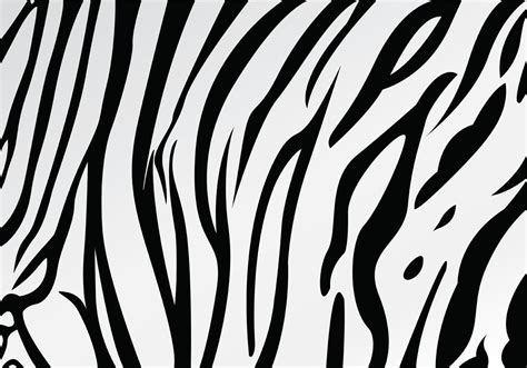 White Tiger Stripe Pattern Vector 145897 Vector Art at Vecteezy