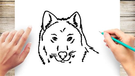 How to Draw a Wolf Face Step by Step for Kids - YouTube