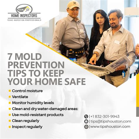 7 Mold Preventions Tips To Keep Your Home Safe - Texas Inspection ...