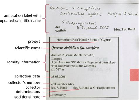 Information on specimen labels. | Download Scientific Diagram