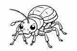 Bed Bugs Coloring Page For Kids Graphic By MyCreativeLife · Creative  sketch template
