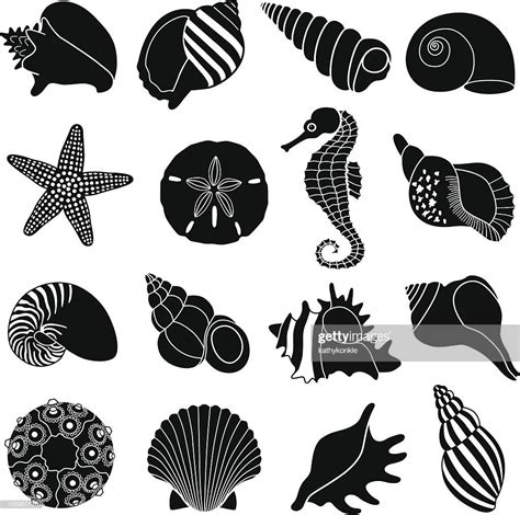 Vector icons of various sea shells and sea creatures. | Seashell illustration, Silhouette art ...