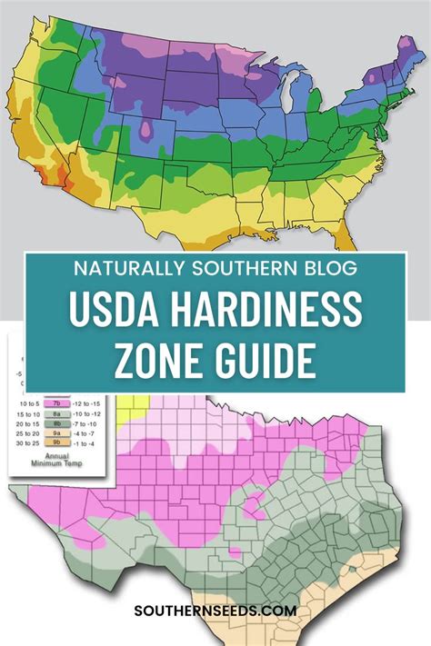 Navigating the Gardening World Through USDA Hardiness Zones | Garden yard ideas, Seasonal garden ...