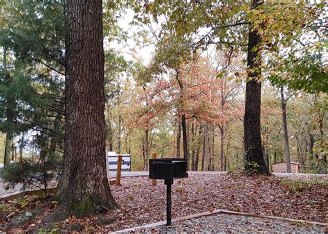 Paris Landing State Park Camping | The Dyrt