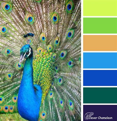 Peacock Parade: Colour & Inspiration Tuesday and Linky Party - Clever ...