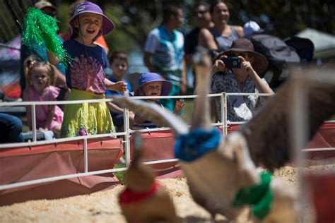 Santa Clara County Fair opens