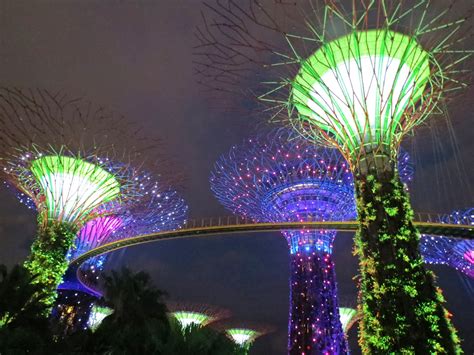 Things to do in Chinatown, Singapore • Owl Over The World