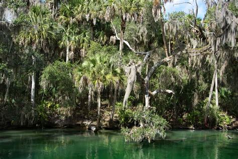 7 Best Places For Tubing In Florida (Natural Lazy Rivers!) - Florida Trippers