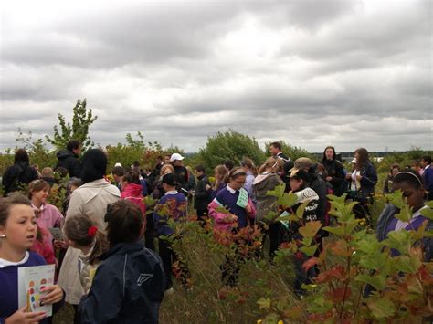 Ashford Oaks Primary School visit - Kent Heritage Trees Project