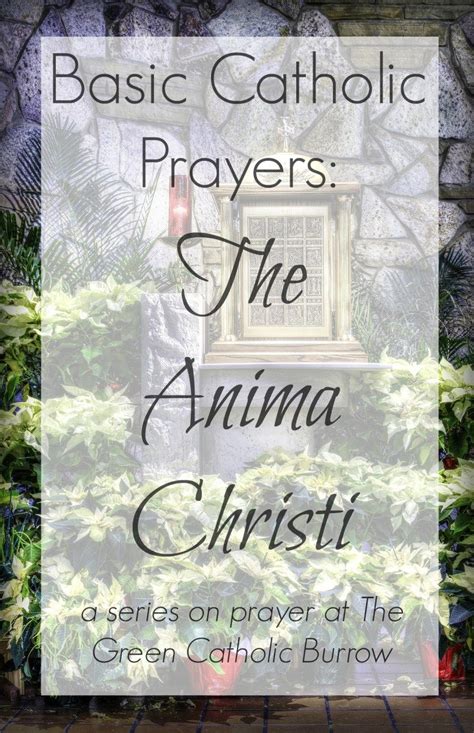 Catholic Piety for Protestants Series Part 1: The Anima Christi | Green ...