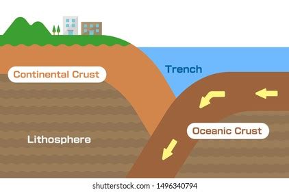 899 Earth crust diagram: immagini, foto stock e grafica vettoriale | Shutterstock