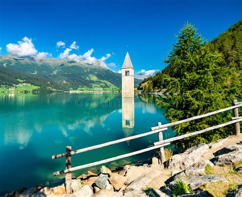 142 Flooded Bell Tower Resia Lake Italy Stock Photos - Free & Royalty-Free Stock Photos from ...