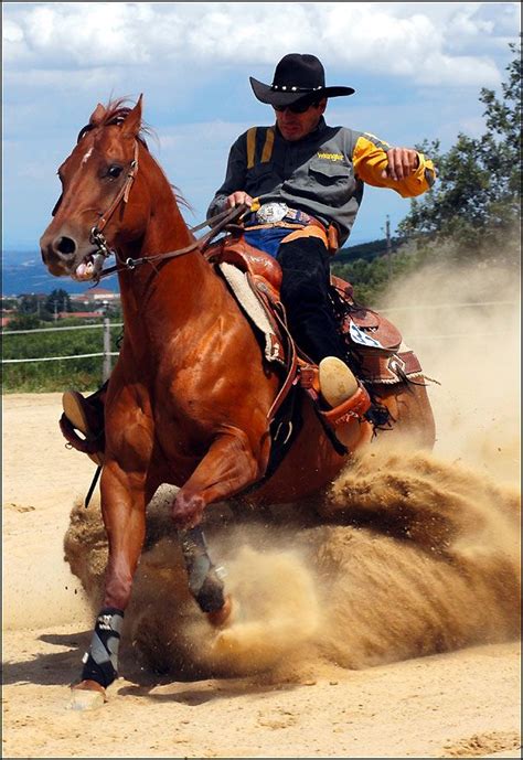 Beautiful shot! Photo by Jean Pierre Romeyer Western Horse Riding, Cowgirl And Horse, Cowboy Up ...