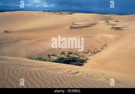 Dunes of Medanos de Coro National Park in Coro in Falcon State in ...