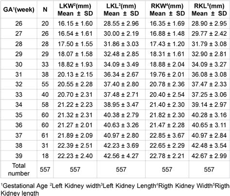 Fetal Kidney Size Chart: A Visual Reference of Charts | Chart Master