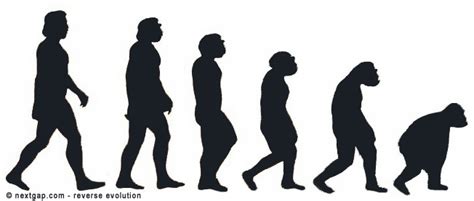 Reverse Evolution