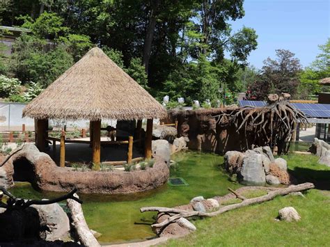 John Ball Zoo Pygmy Hippo Habitat - Wolverine Building Group - John Ball Zoo Pygmy Hippo Habitat ...