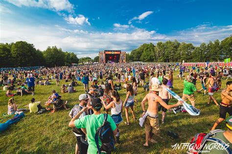 Michigan's Top 10 Summer Music Festivals: The Local Spins List