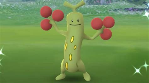 Can You Catch Shiny Sudowoodo in Pokemon GO? - Gamer Journalist