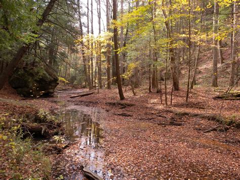 Top 10 Hiking Trails In The Ohio Wilderness | TouristSecrets