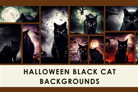 20 Halloween Black Cat Backgrounds Graphic by Endrawsart · Creative Fabrica