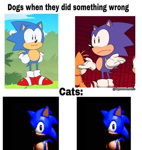 sonic the hedgehog and other cartoon characters with caption that reads ...